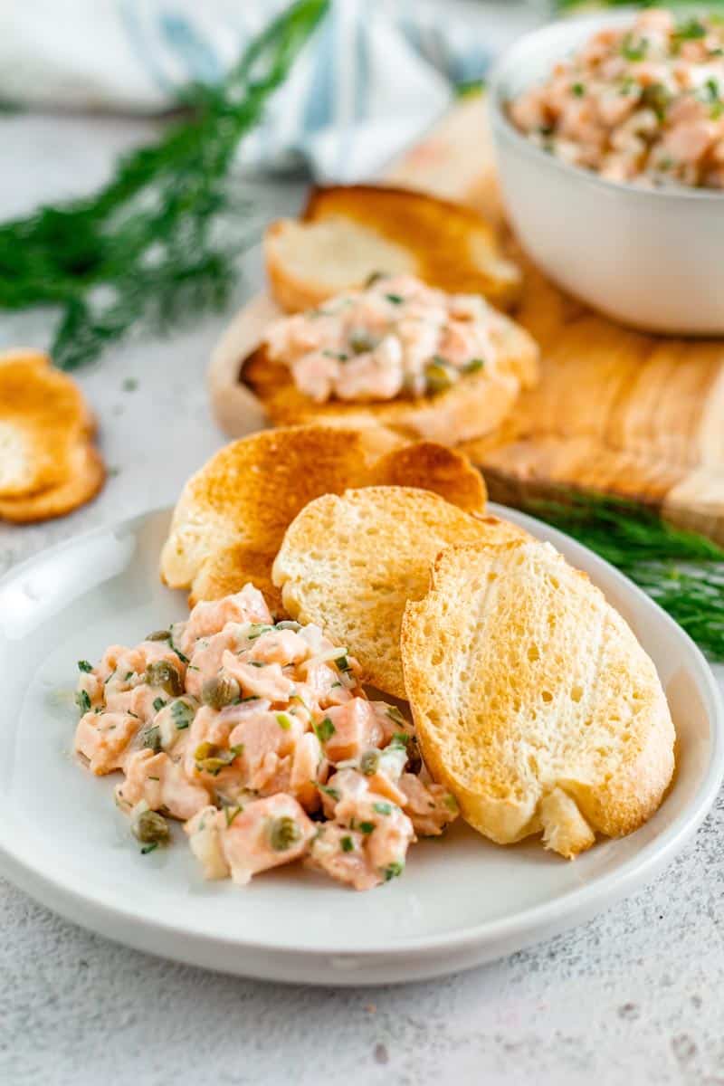 Salmon Tartare on Plate.