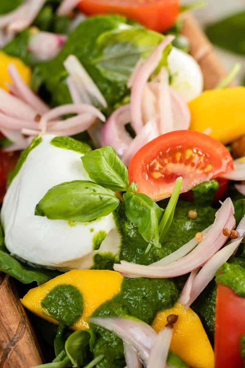 burrata salad