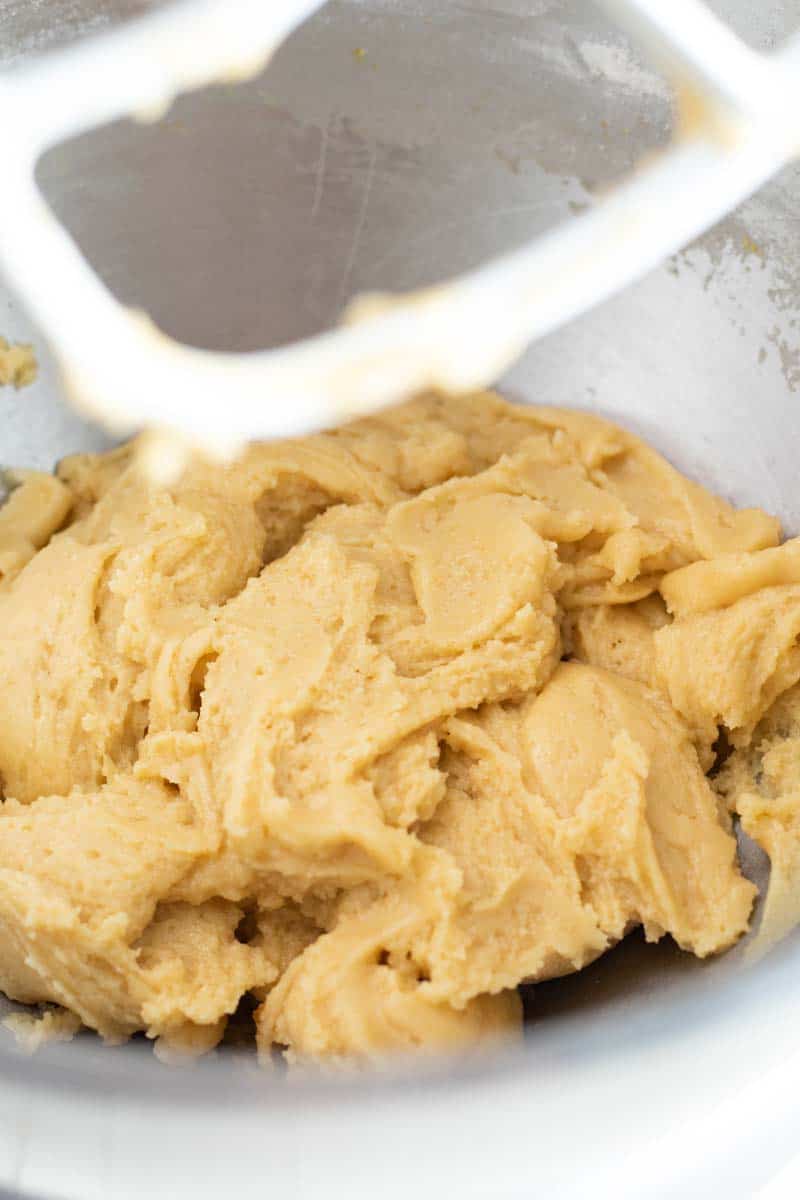 biscotti dough in a stand mixer