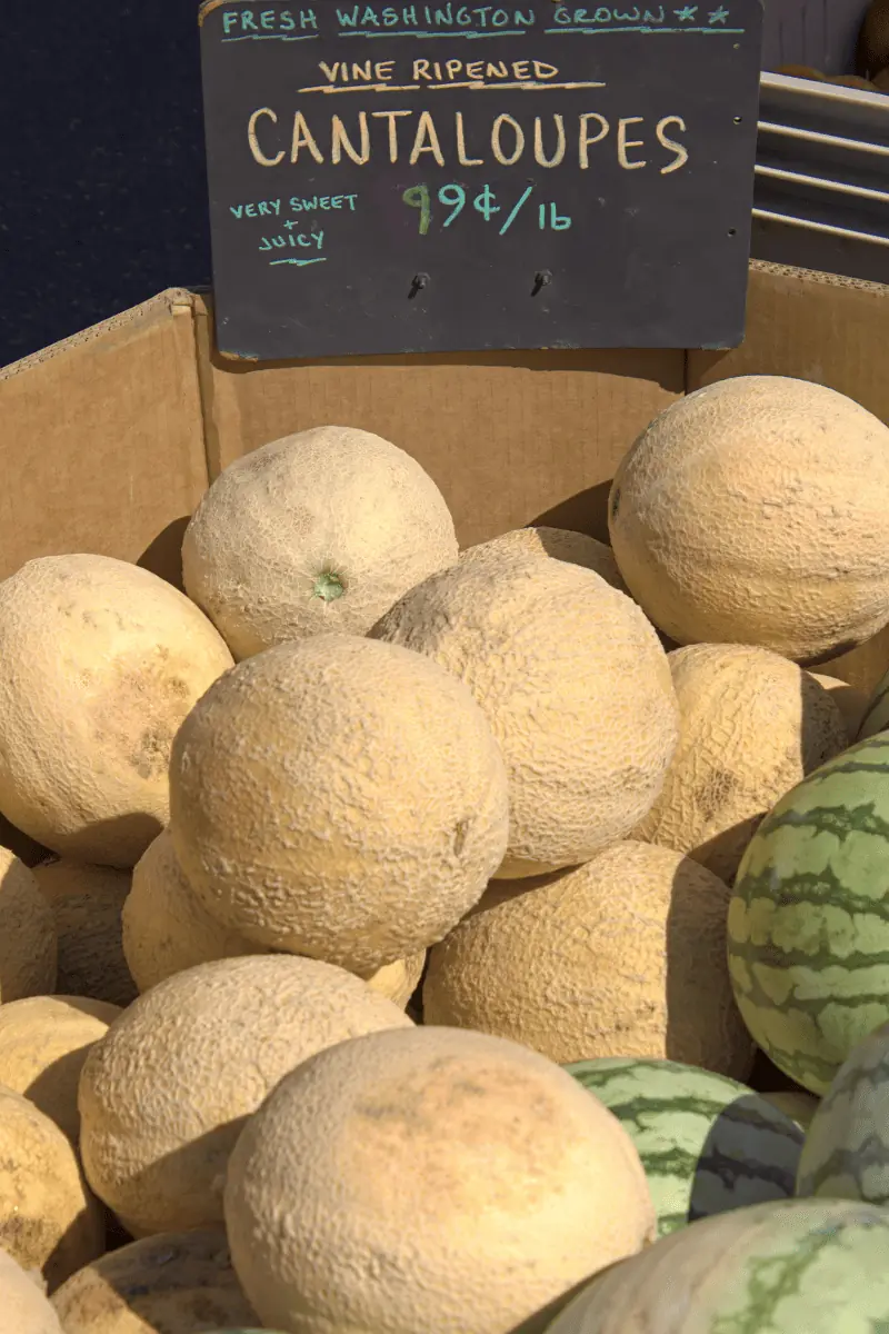 cantaloupe in the market.