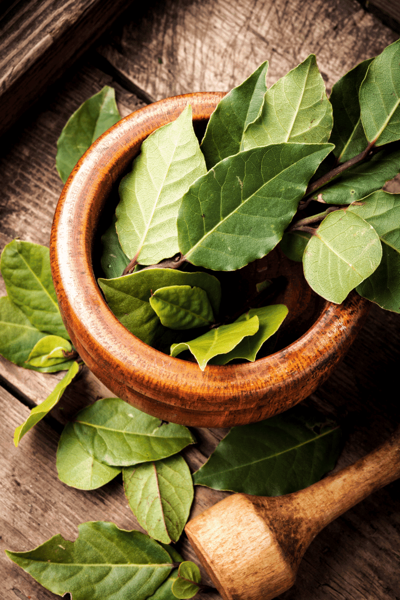 Bay leaves in a wooden bowl.