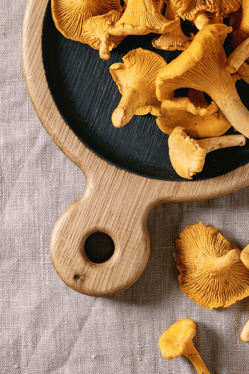 Chanterelle mushrooms on a cutting board.
