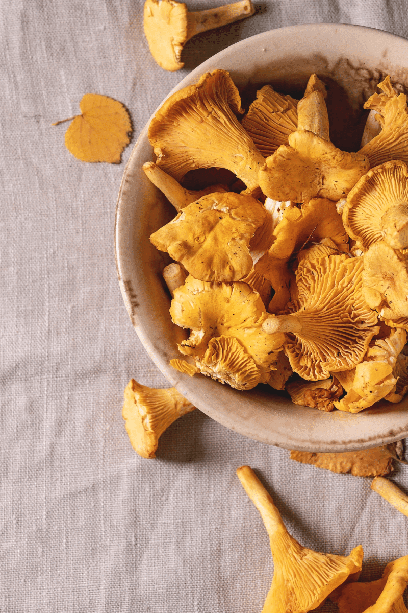 How To Use Chanterelle Mushrooms In Cooking