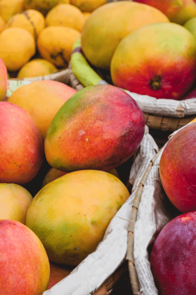 What are Mangoes?