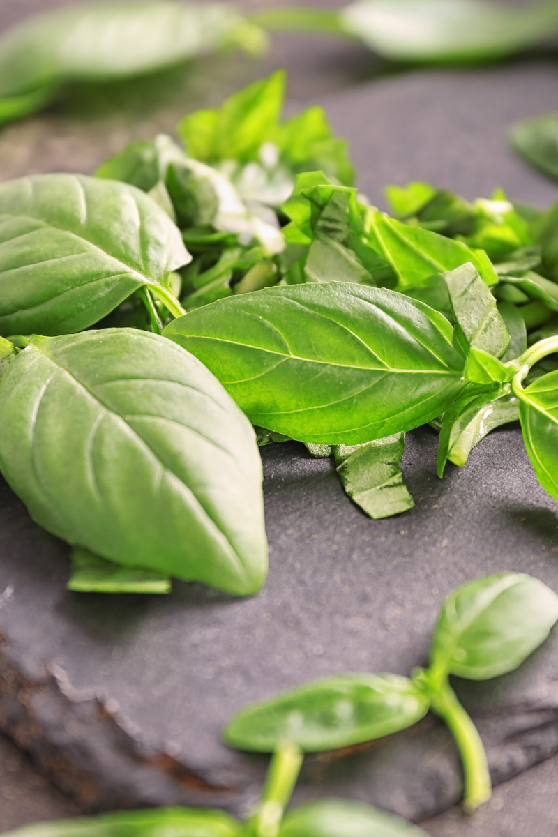 How To Store Basil