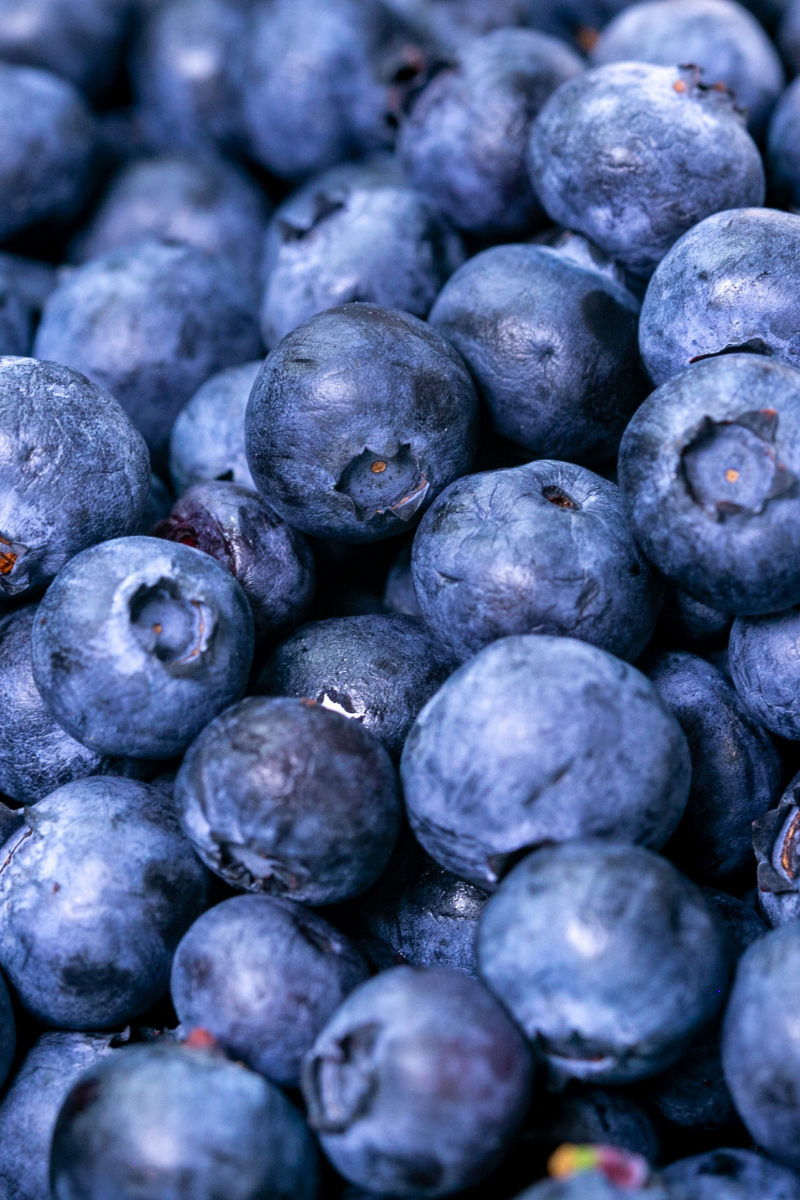 How To Store Blueberries