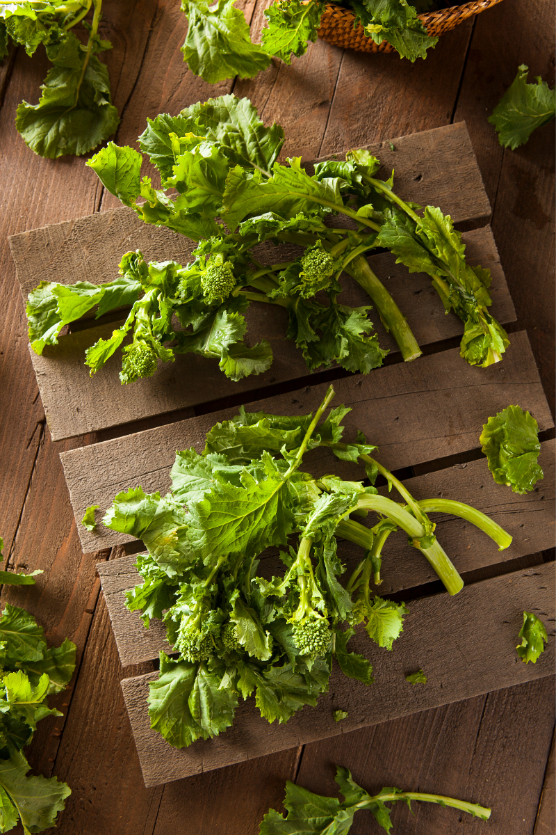 How To Store Broccoli Rabe
