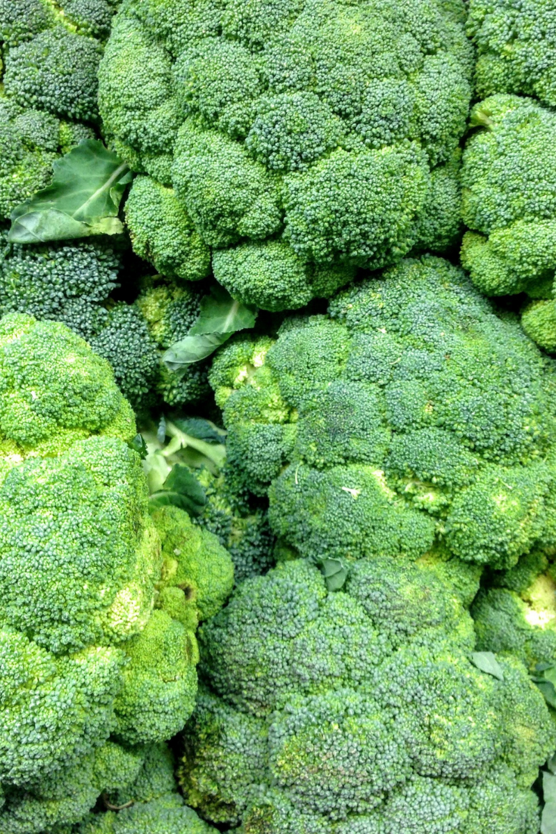 How To Store Broccoli