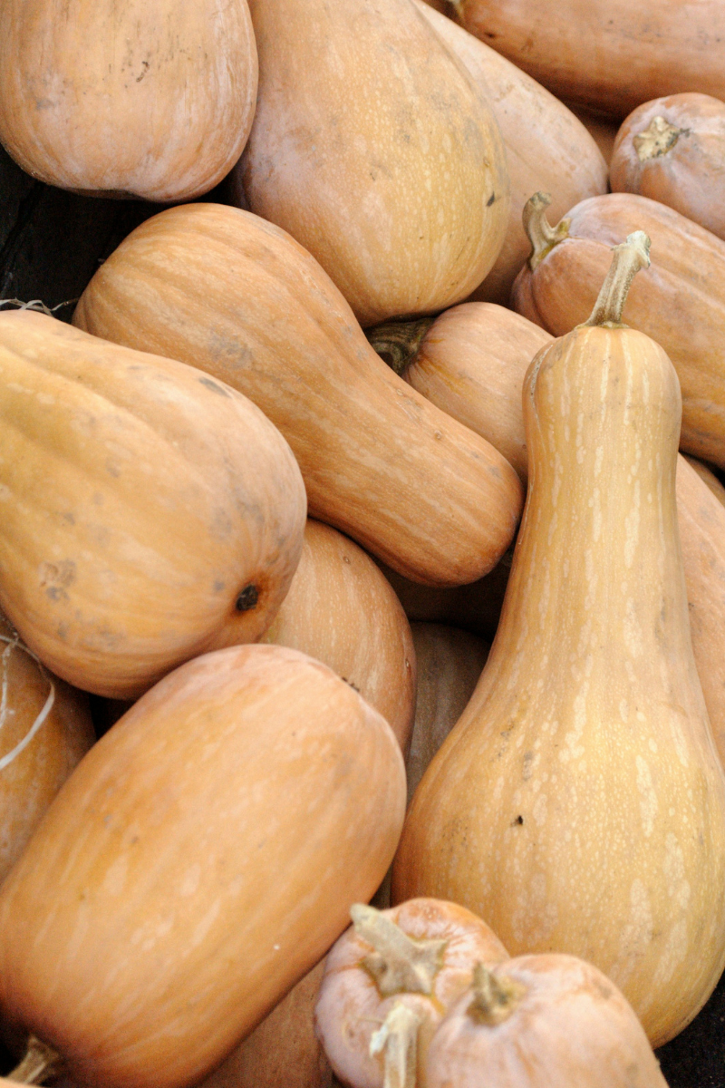 How To Store Butternut Squash