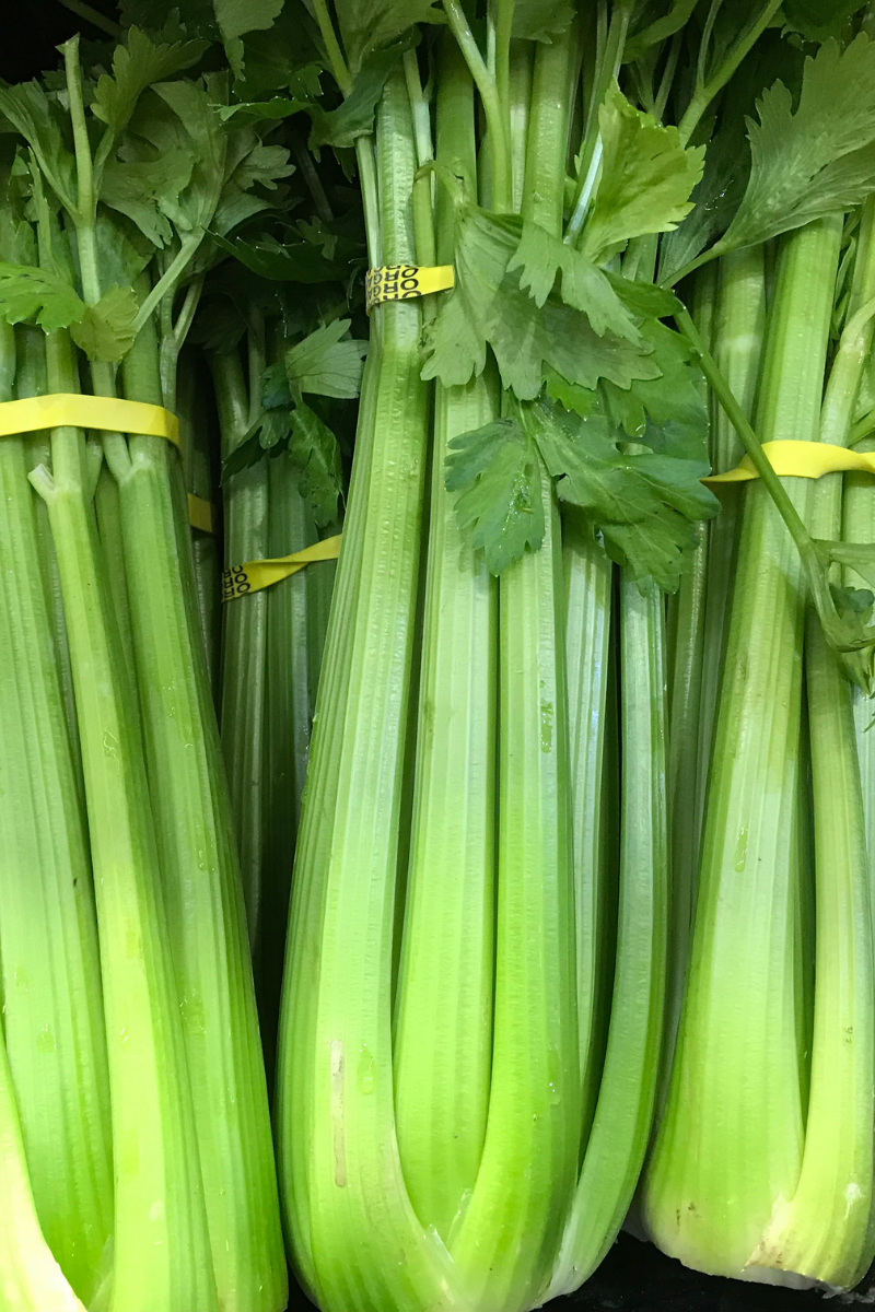 How To Store Celery