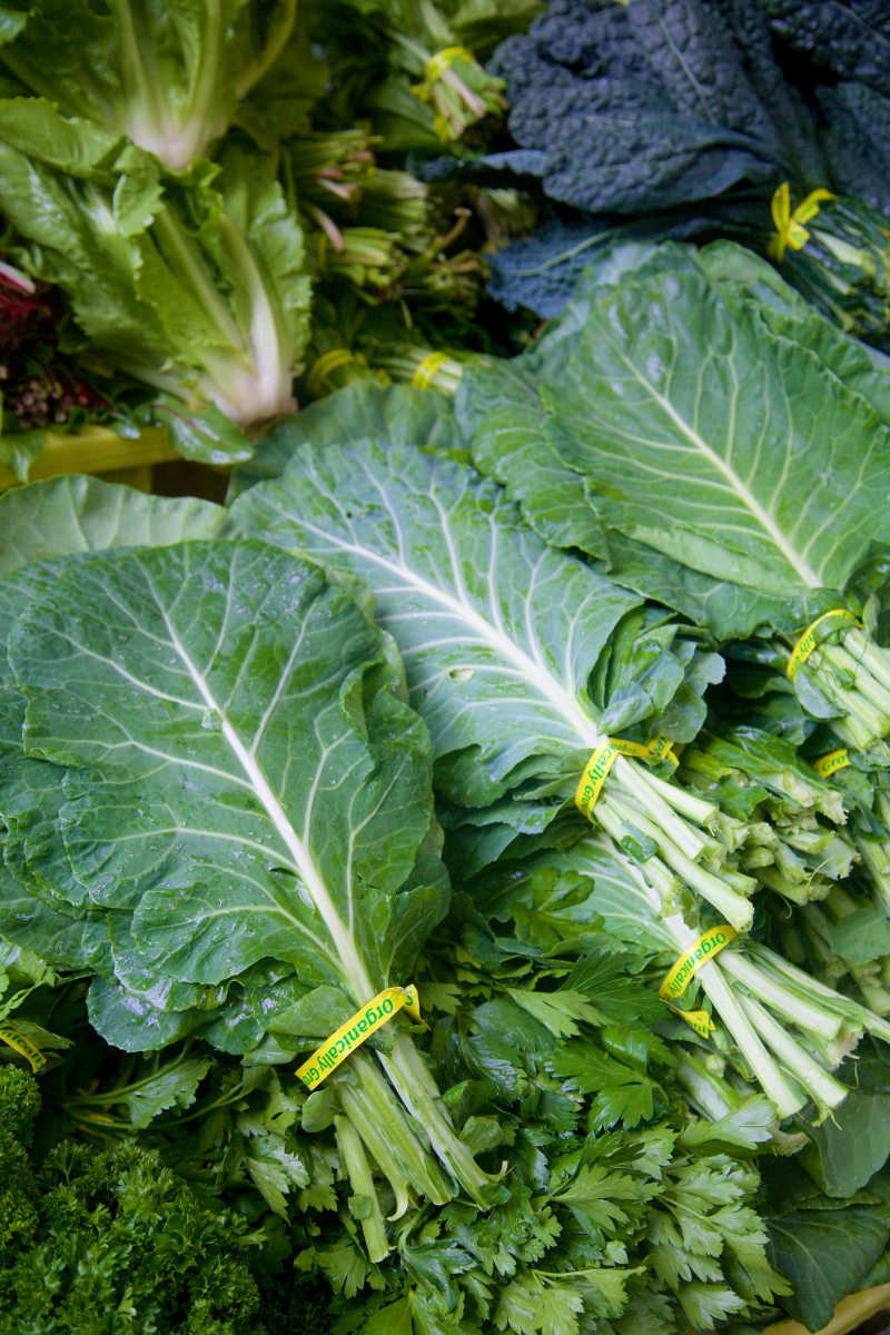How to Store Collard Greens