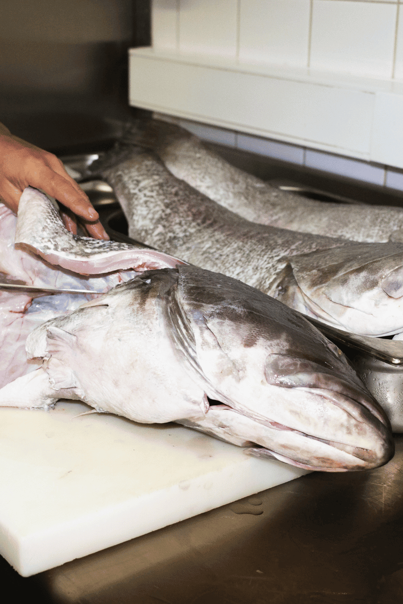 Corvino fish on a cutting board.