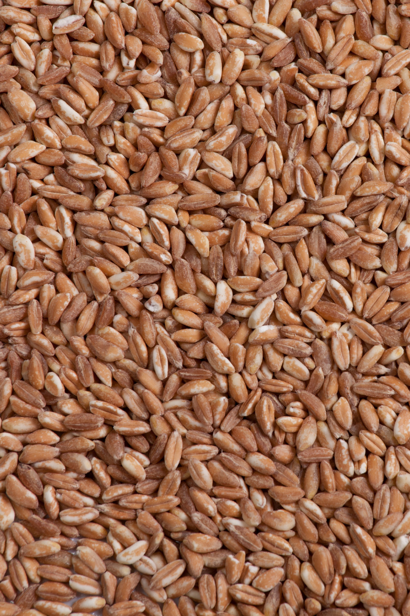 How To Store Farro