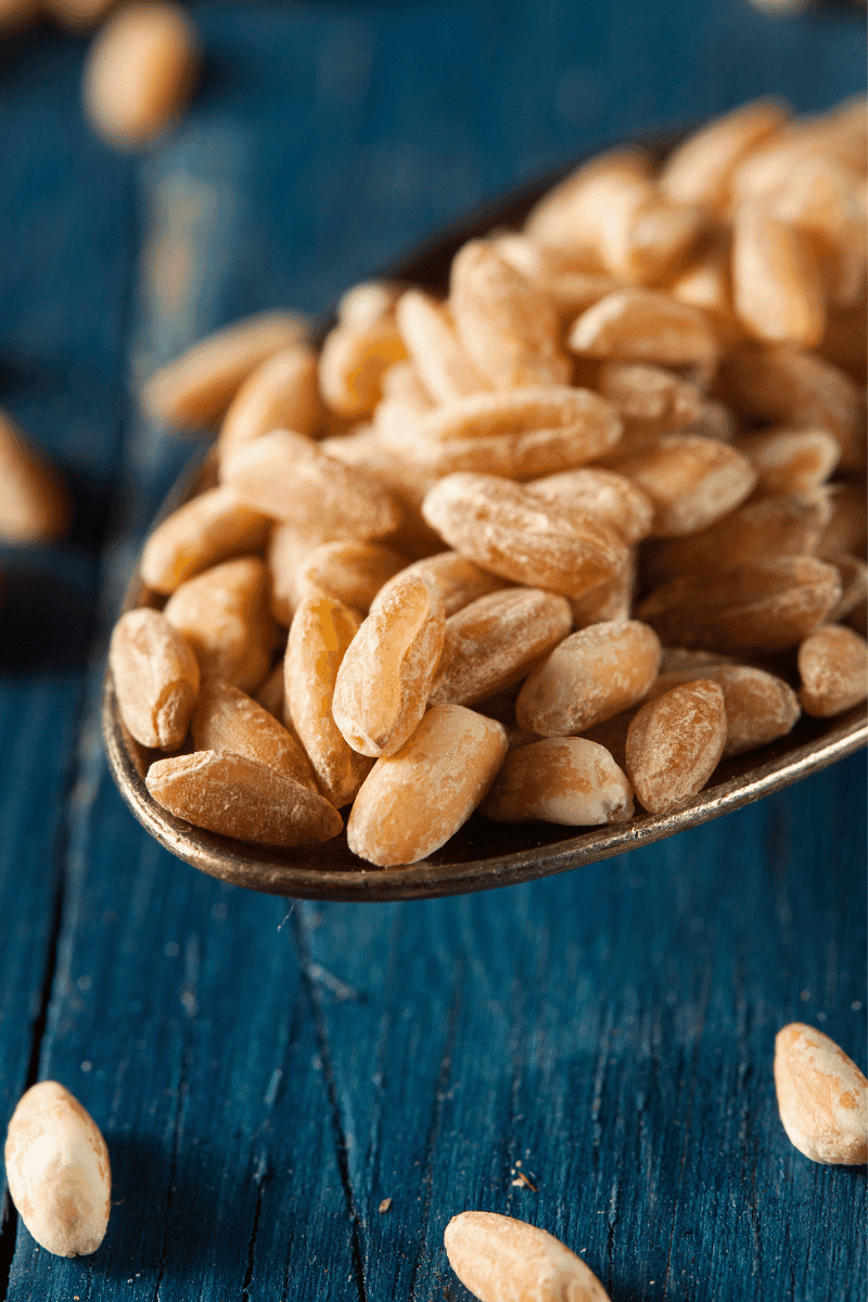 What Is Farro?