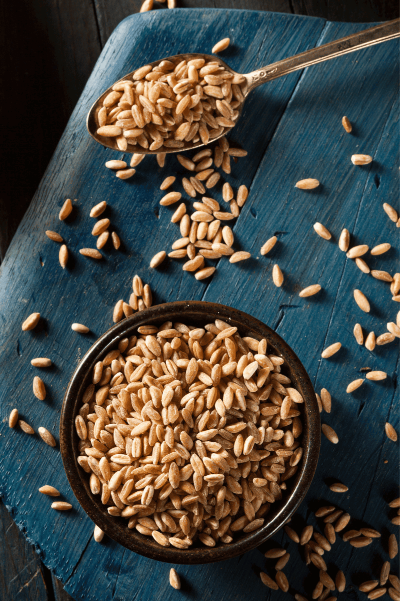 Farro grains on a wooden background.