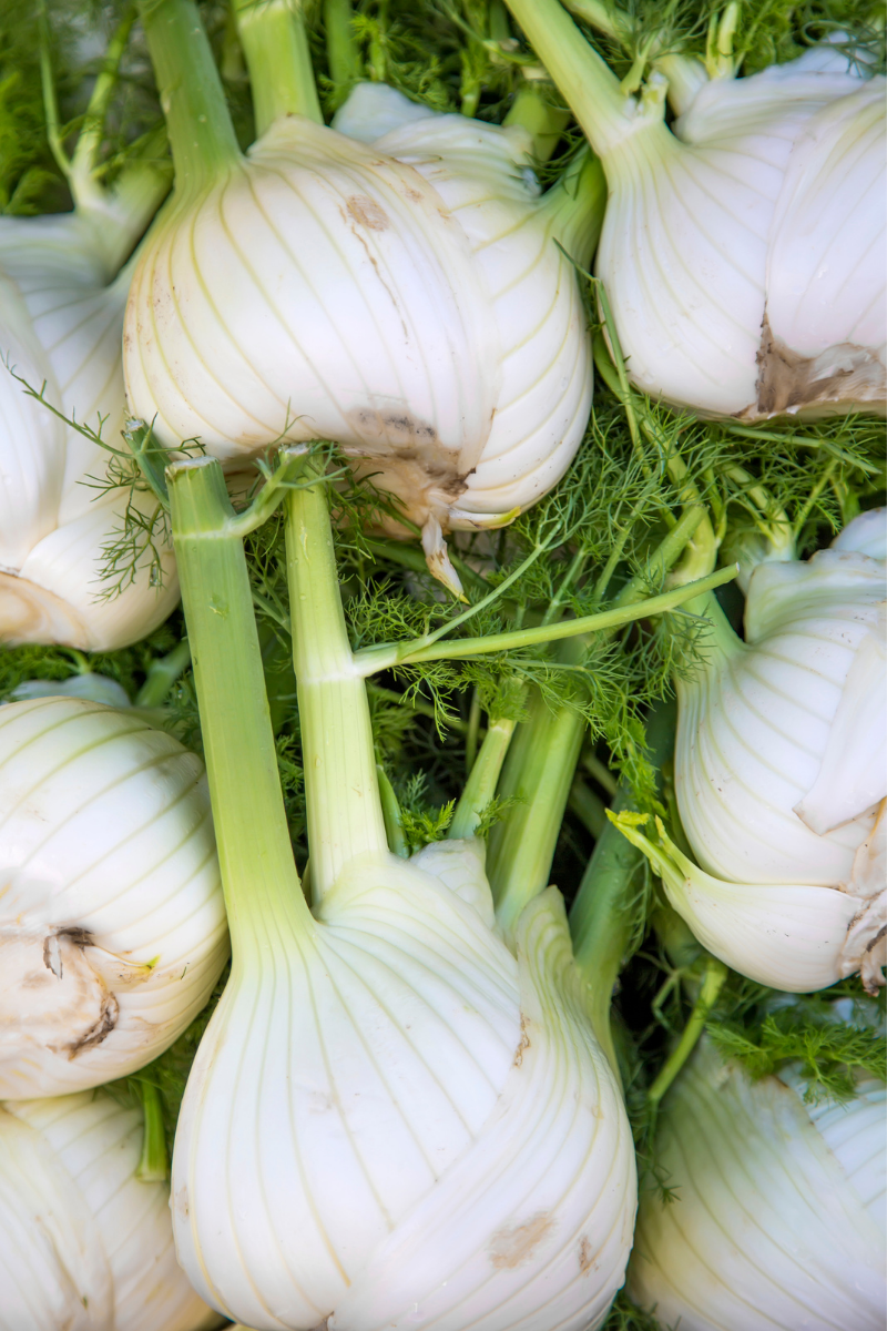 fennel on a wood surface.