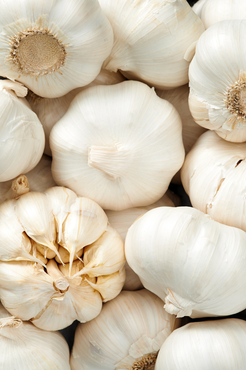 How to Store Garlic