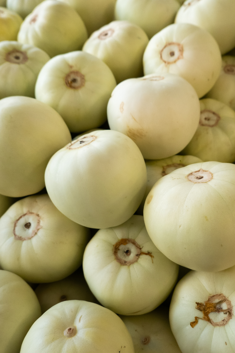 honeydew melons.