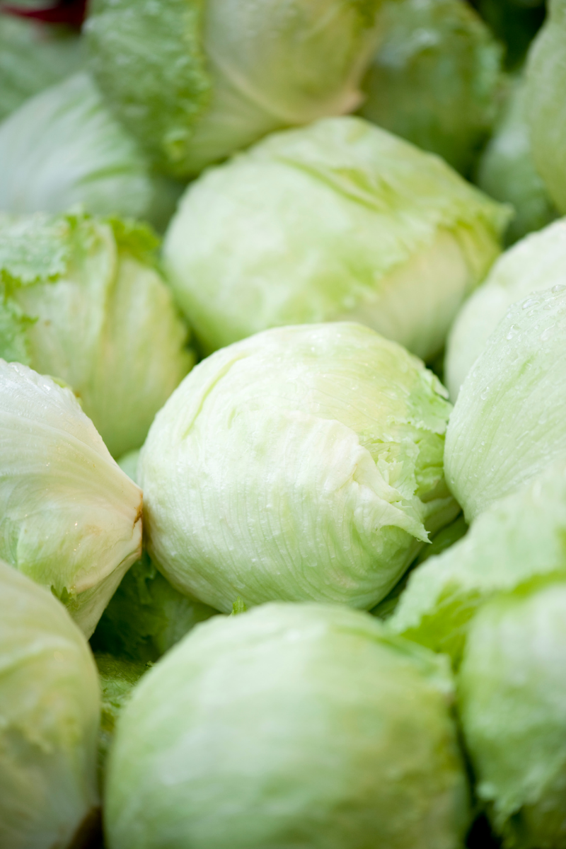 How To Store Iceberg Lettuce