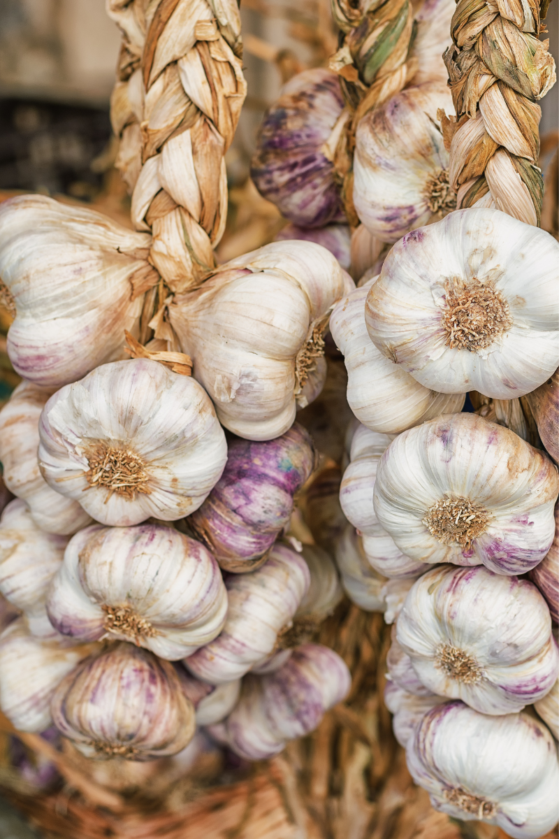Braided garlic.
