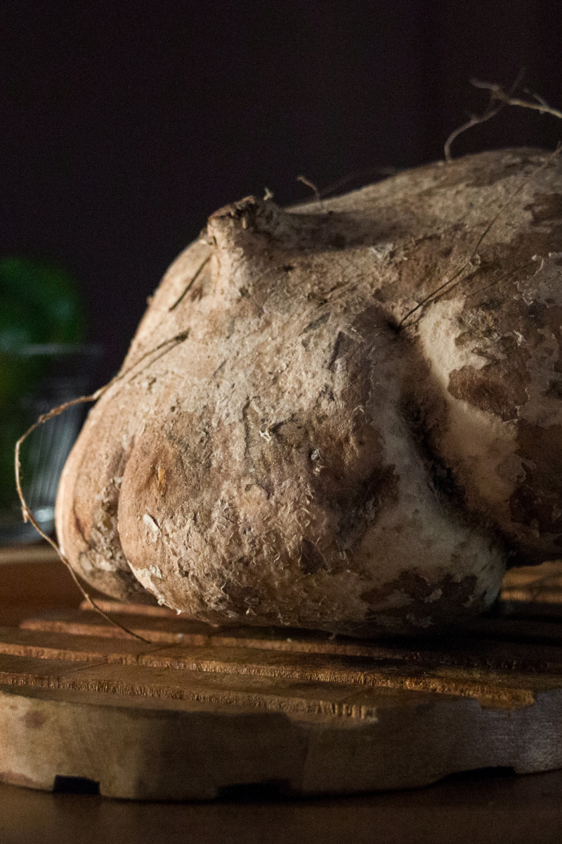 How To Store Jicama