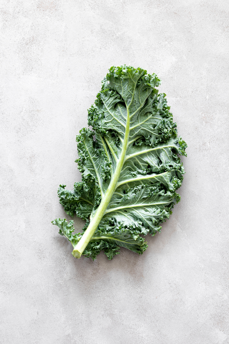 What Is Kale?
