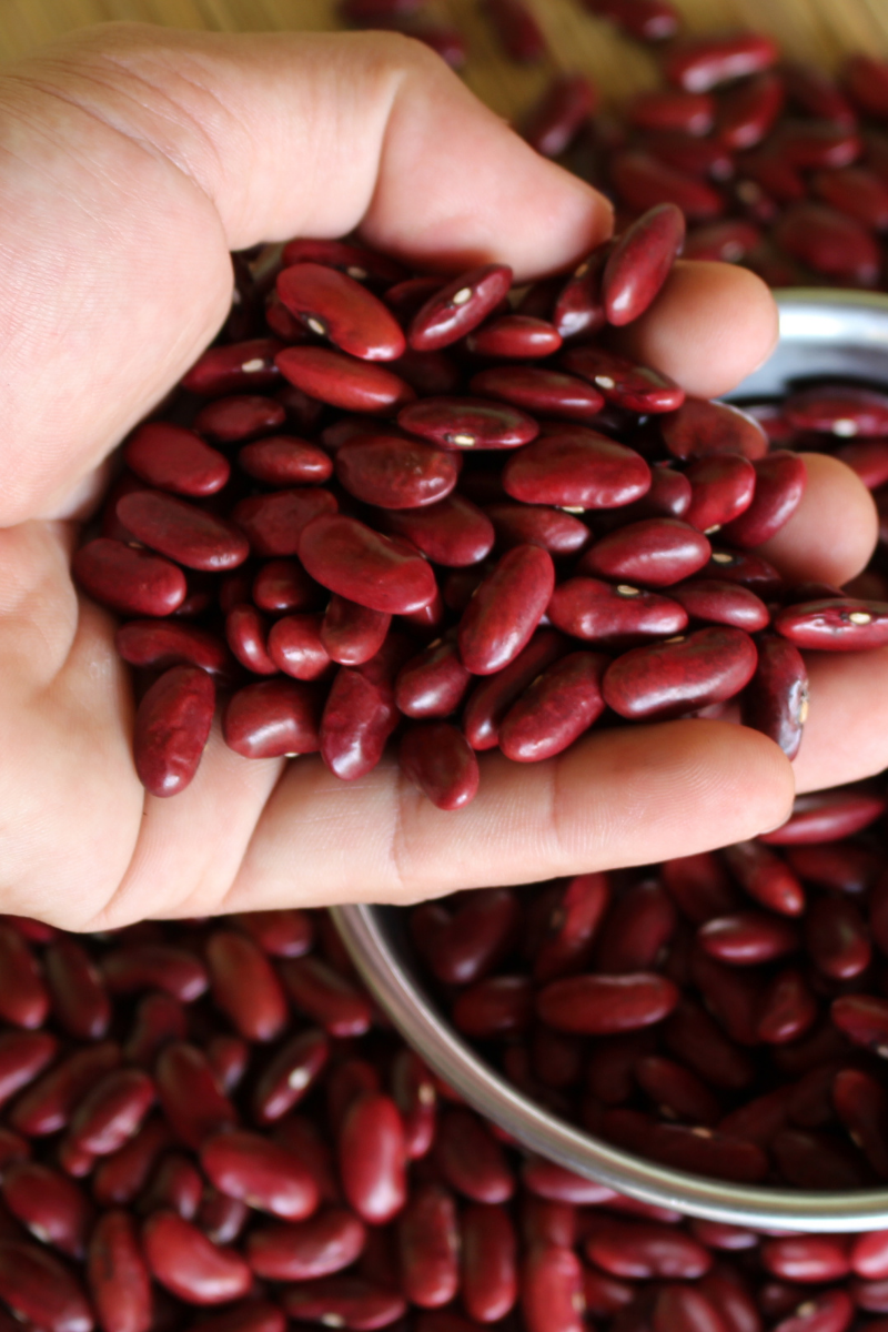 How To Store Kidney Beans