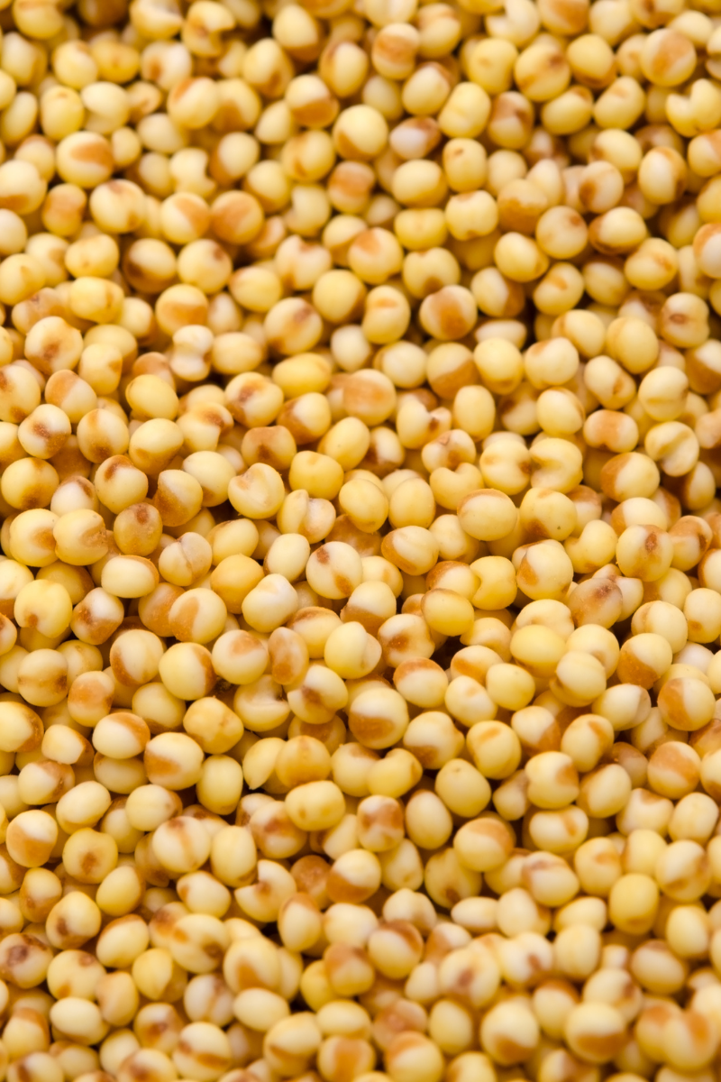 How To Store Millet