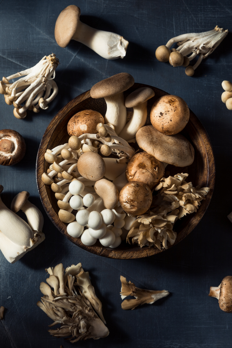 How to Store Mushrooms