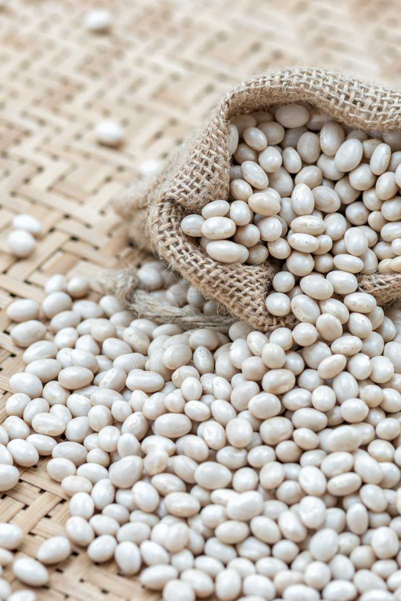 How To Store Navy Beans