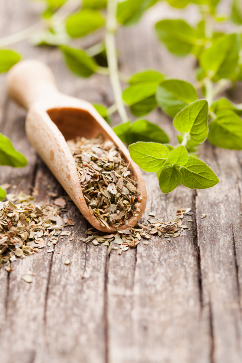 How to Store Oregano
