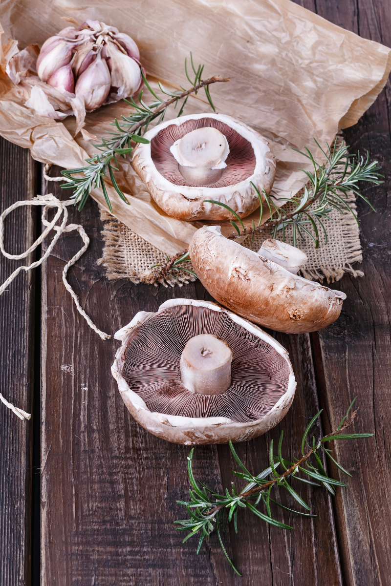 How To Store Portobello Mushrooms