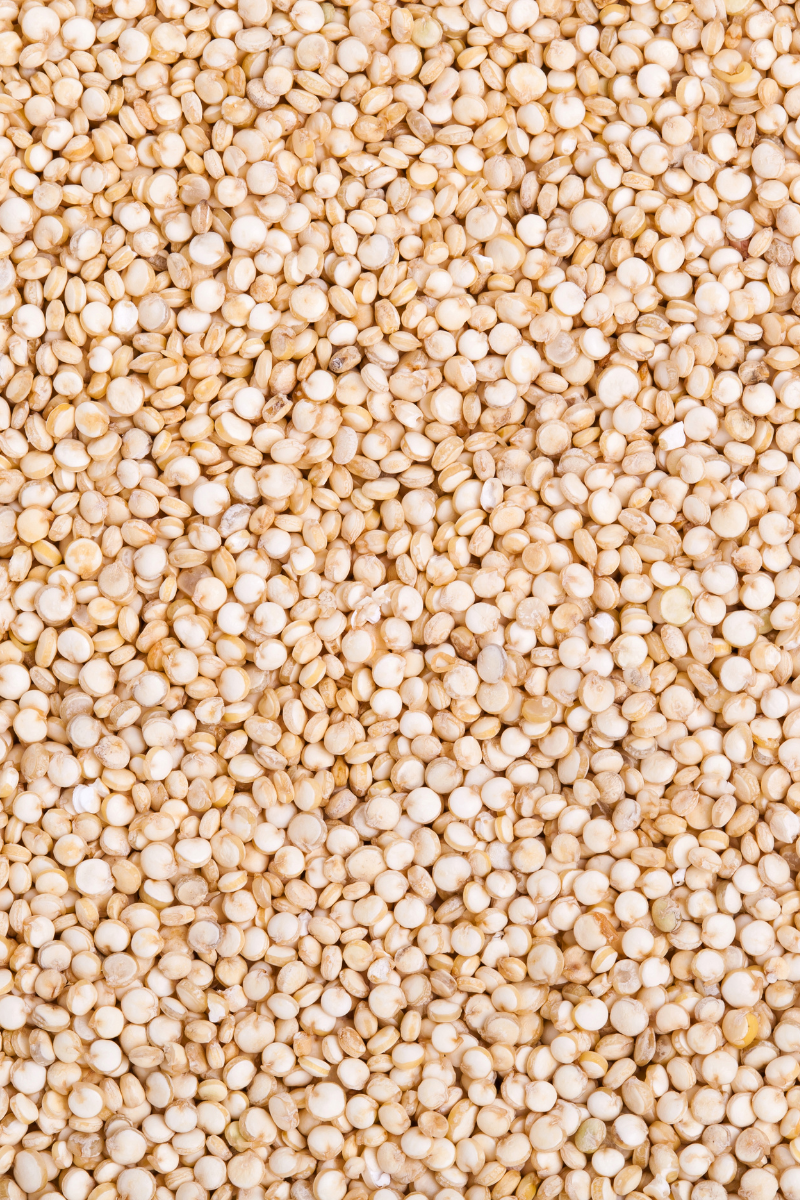 How To Store Quinoa