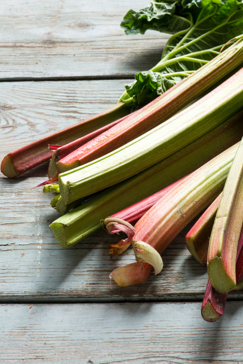 How To Store Rhubarb