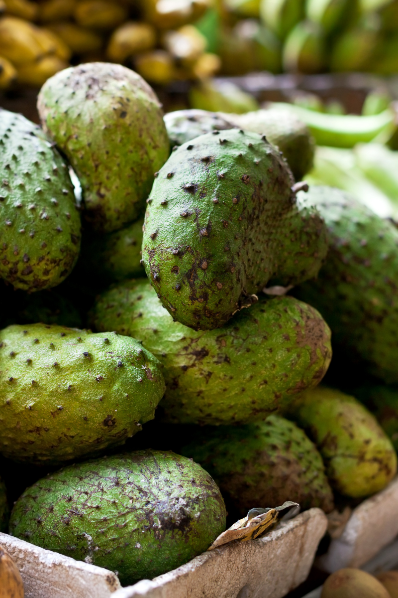 soursop fruit.