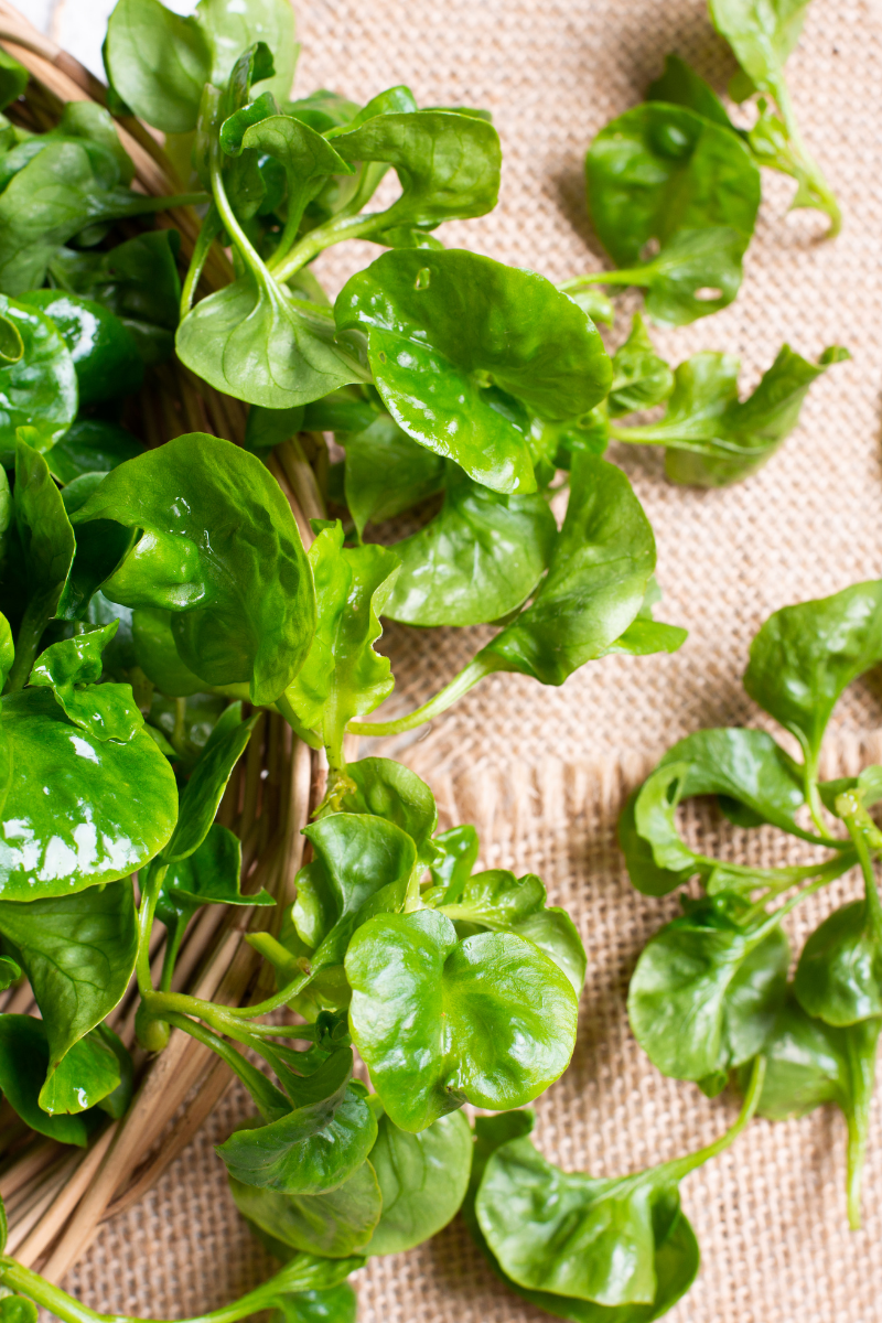watercress in a basket.