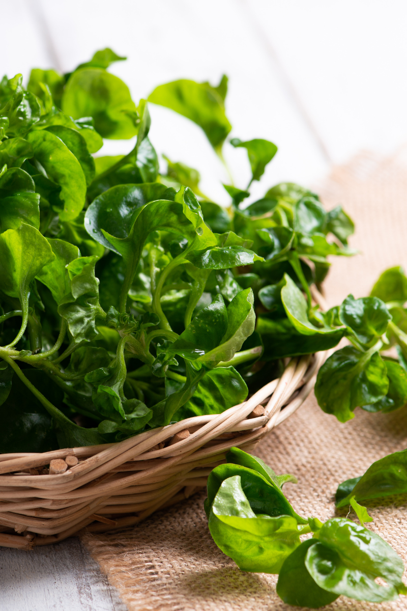 watercress in a basket.
