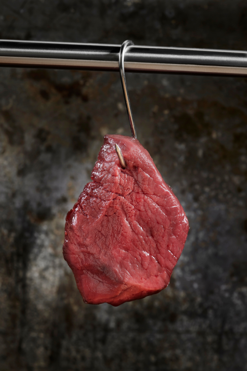 What Is Bison?