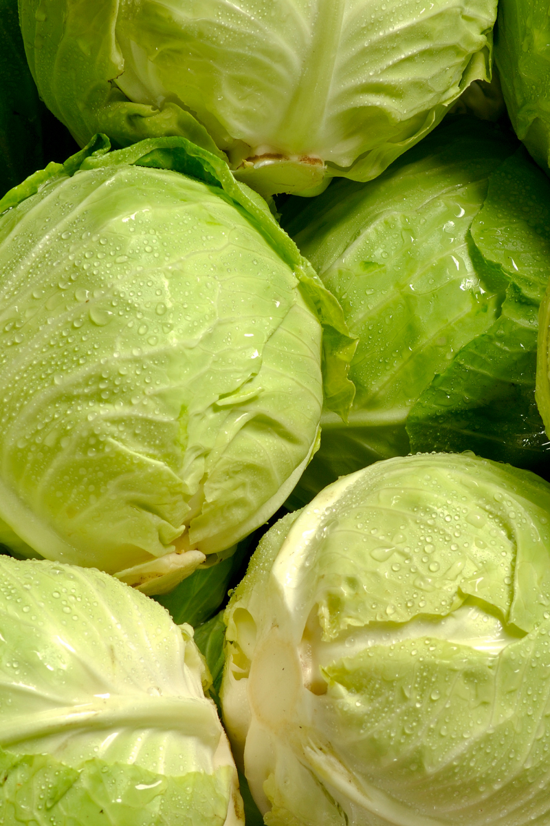 How To Store Cabbage