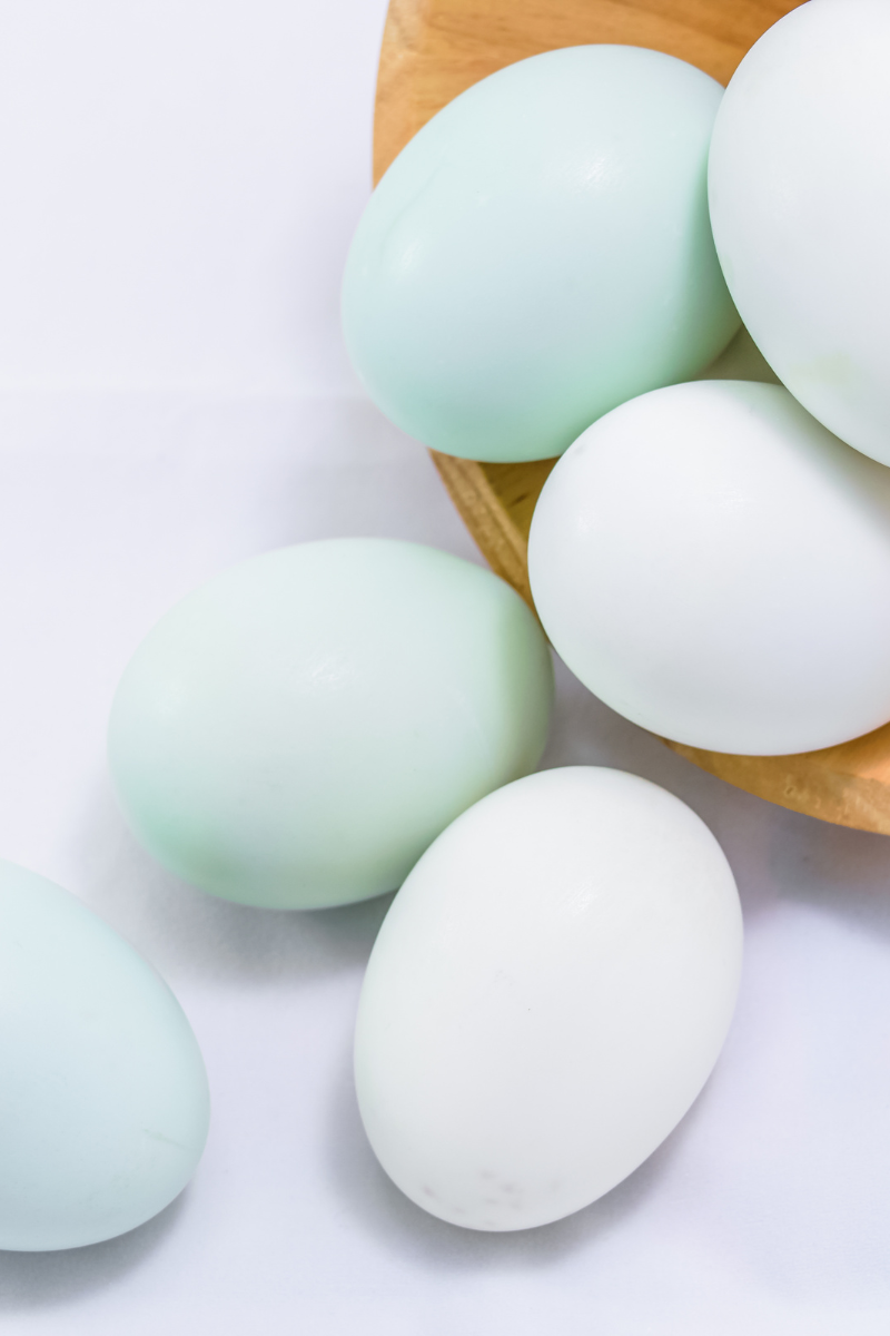 duck eggs.