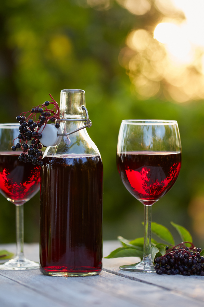 What Is Elderberry Wine?