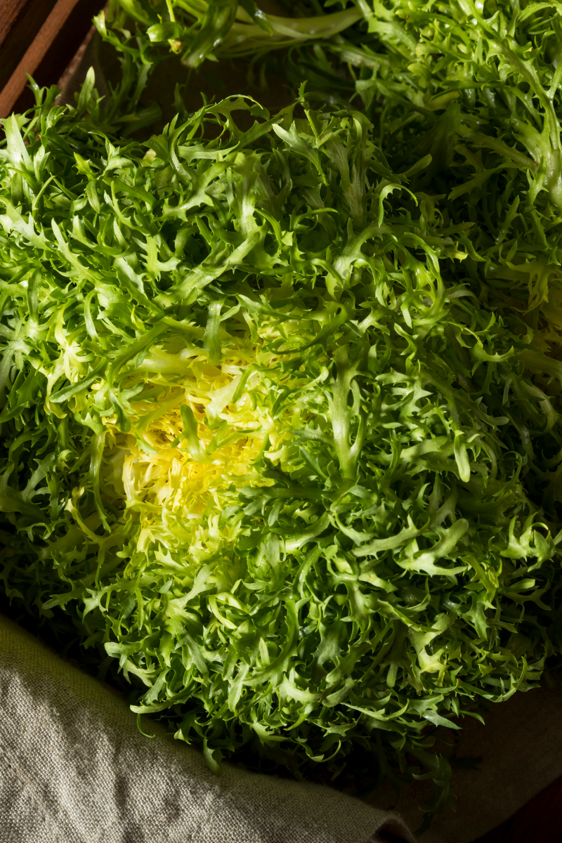 What Is Frisee?