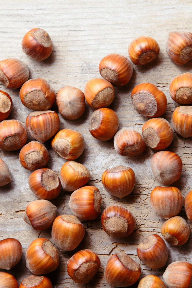 hazelnuts on a dark surface.