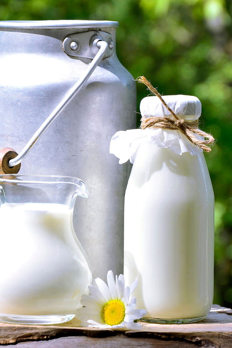 Milk in bottles and jug.
