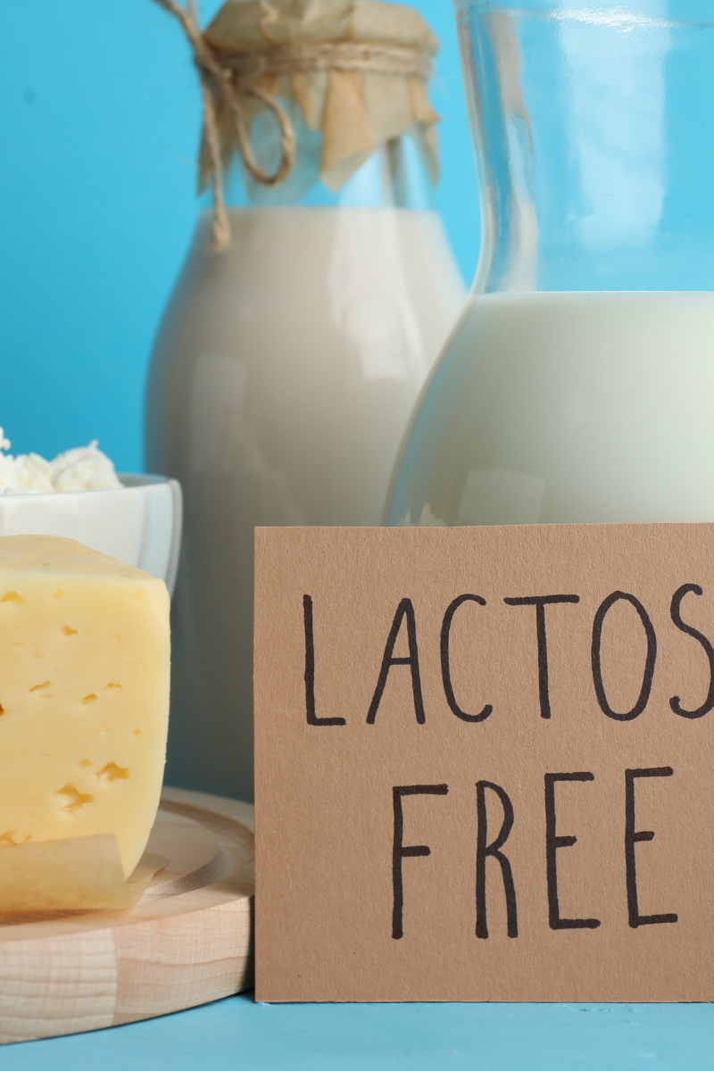 What Is Lactose Free Cheese?
