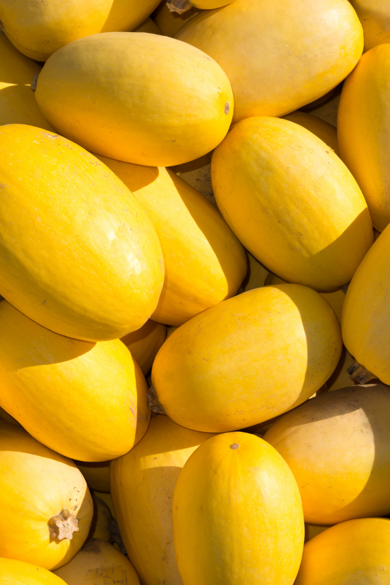 What Is Spaghetti Squash?