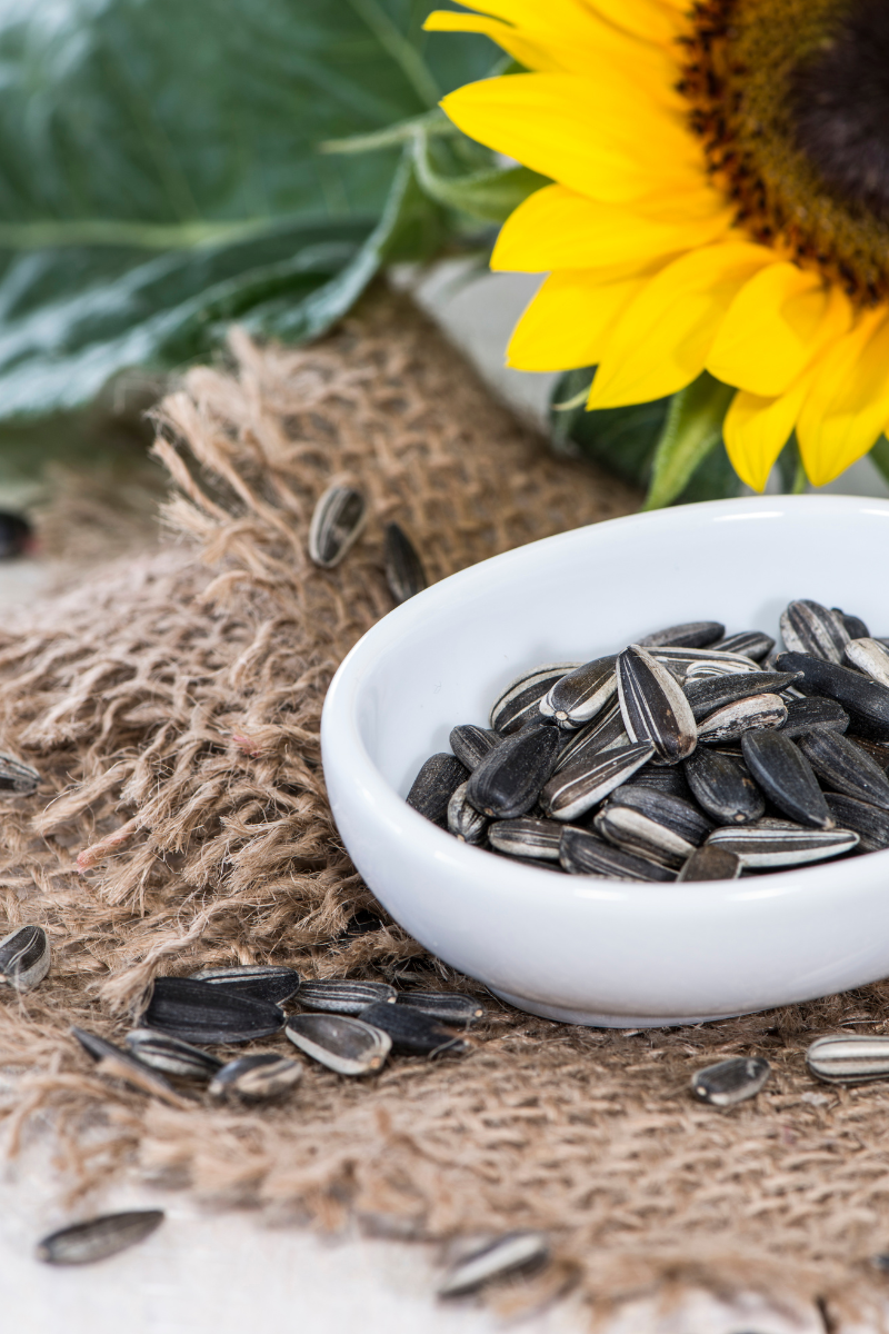 sunflower and sunflower seeds, in a bowl, on a white wood background.