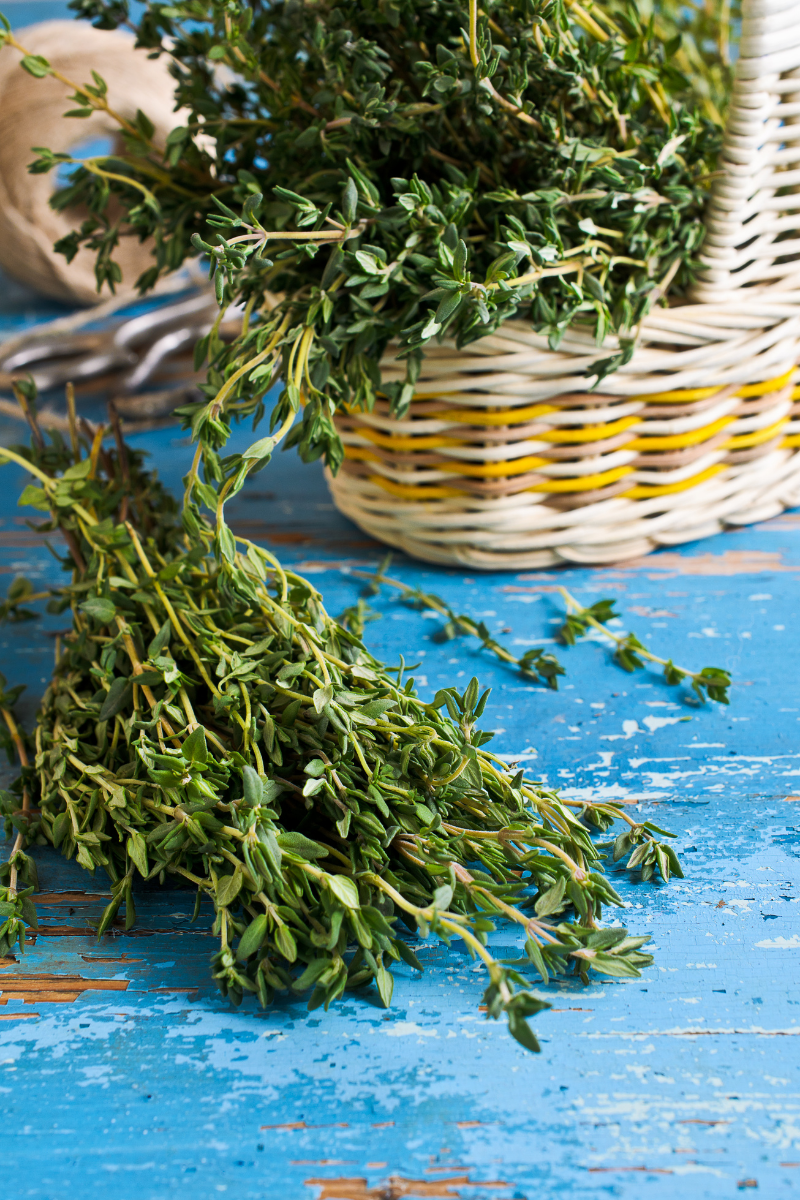 How to Store Thyme