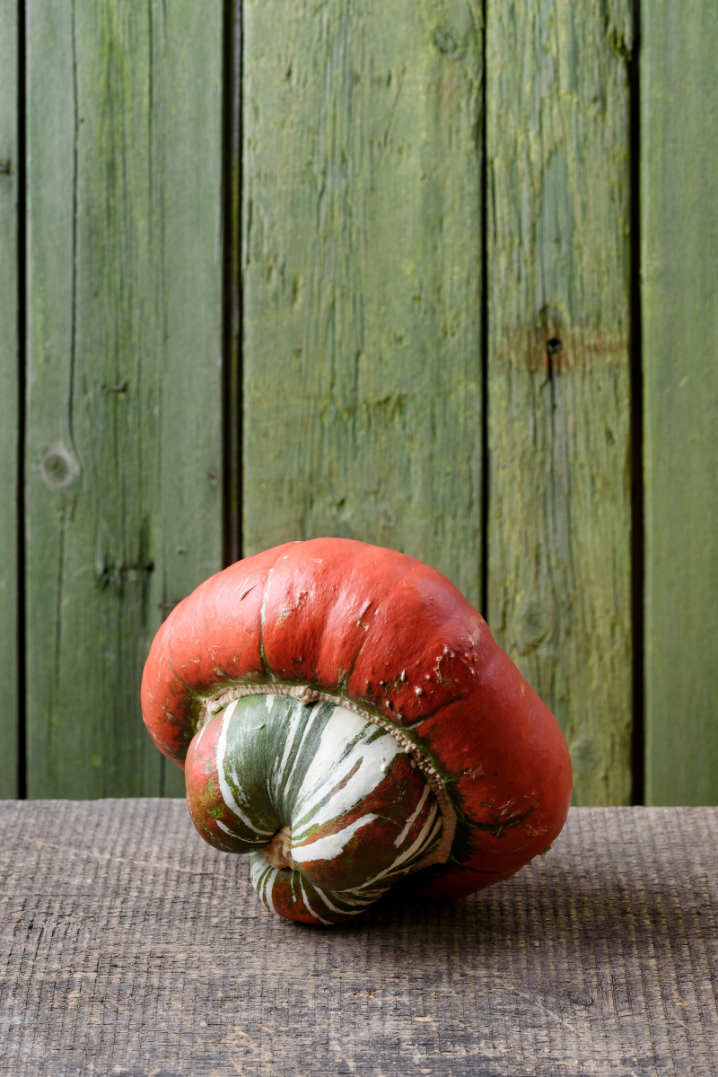 Turban Squash.