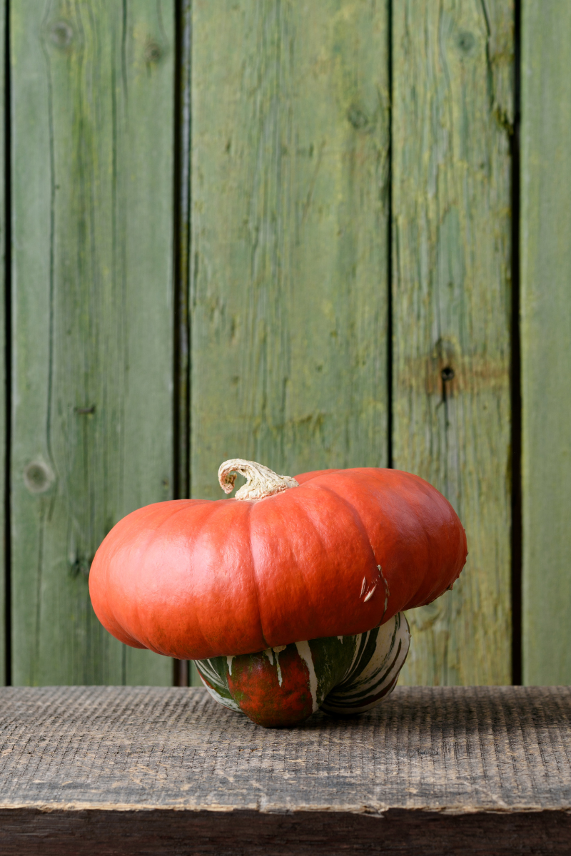 Turban Squash.